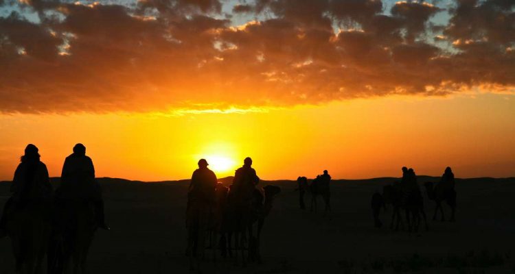 Sahara Tunezino