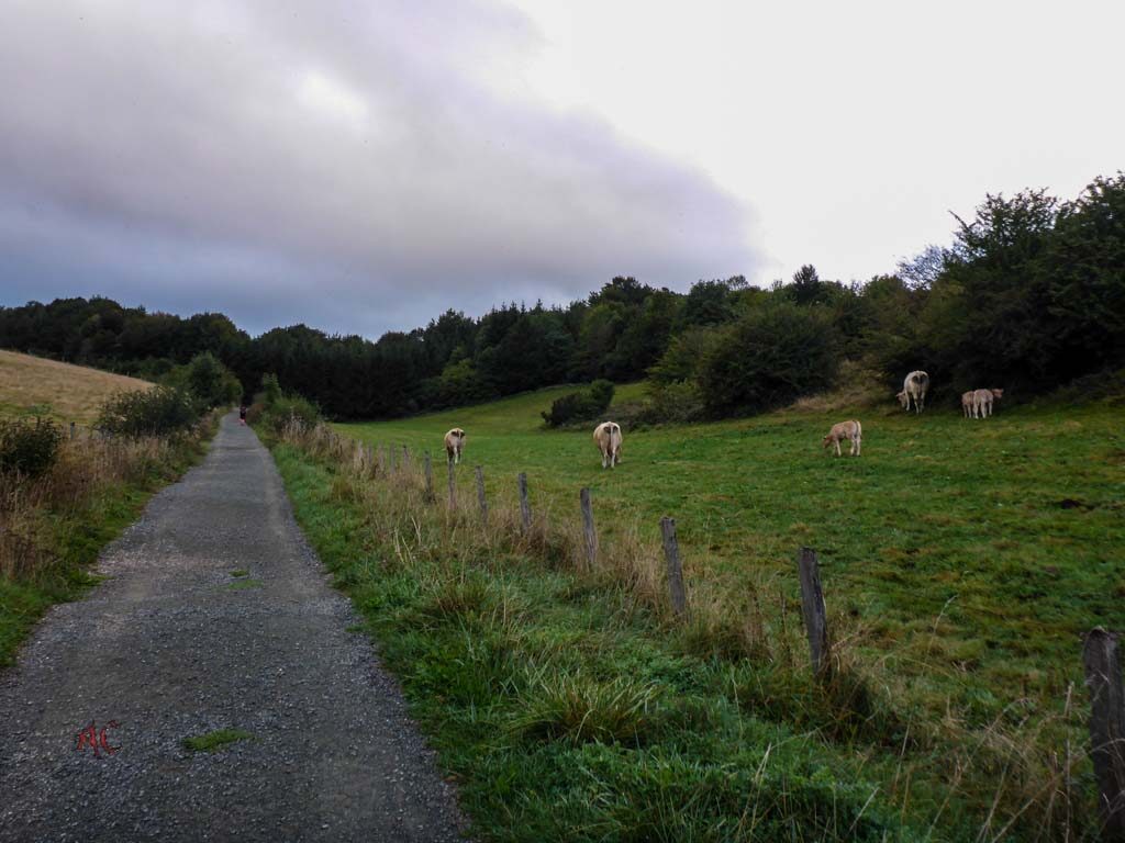 El camino a Larraosaña